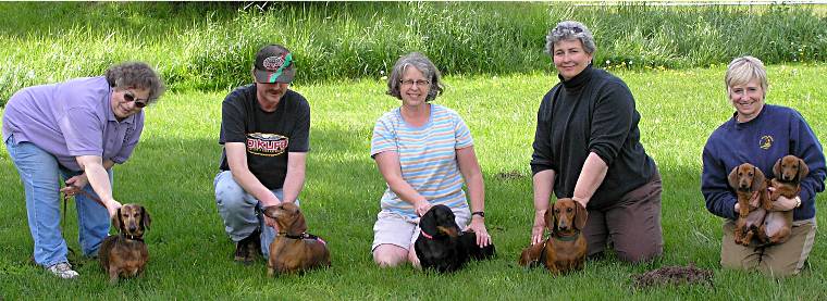 5 generations of dachshunds in a row