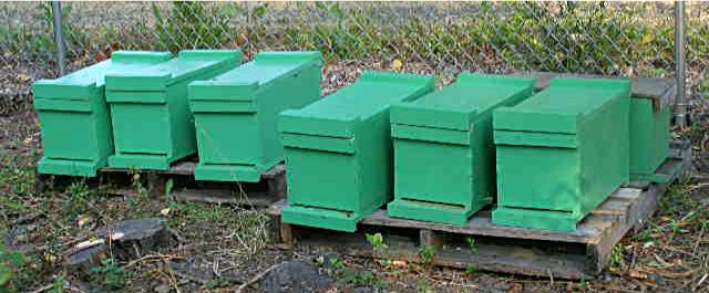 honey bee nucs, Oregon